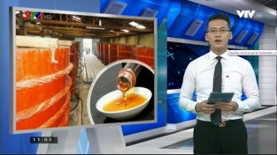 Làm rõ khái niệm nước mắm truyền thống và công nghiệp