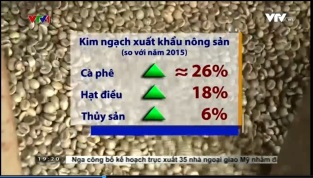 [Video] Xuất khẩu tôm năm 2016 bứt phá