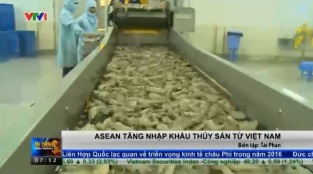[Video] ASEAN tăng nhập khẩu thủy sản từ Việt Nam