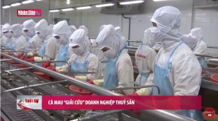 [Video] Cà Mau giải cứu doanh nghiệp thuỷ sản