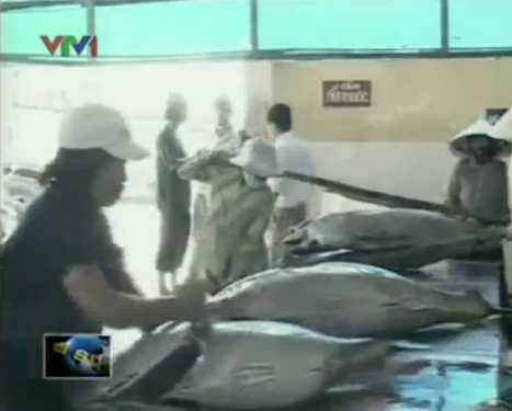 Xuất khẩu cá ngừ bứt phá