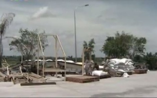 Chuyện buồn về con cá tra - Phần 2 Lối ra nào cho con cá tra Việt Nam