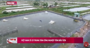 [Video] Việt Nam sẽ có Trung tâm công nghiệp tôm đầu tiên