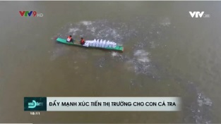 [Video] Trợ lực quan trọng để ngành hàng cá tra hồi phục và phát triển