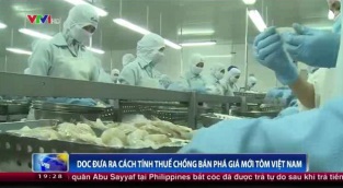[Video] DOC đưa ra cách tính thuế CBPG mới tôm Việt Nam
