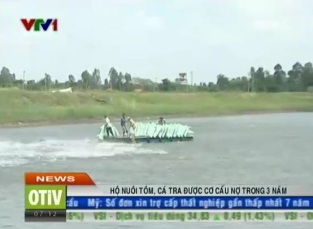 Hộ nuôi tôm, cá tra được cơ cấu nợ trong 3 năm