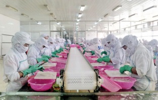 [Video] Ngành thủy sản đầu tư vào chất lượng để nâng cao giá trị xuất khẩu