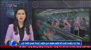 [Video] Lùi thời gian thực hiện quy định mới nhất về xuất khẩu cá tra