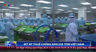 [Video] Mỹ áp thuế chống bán phá giá tôm Việt Nam