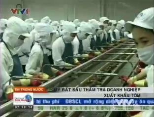 Mỹ bắt đầu thẩm tra doanh nghiệp xuất khẩu tôm