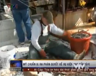 Mỹ chuẩn bị ra phán quyết về vụ kiện trợ cấp tôm