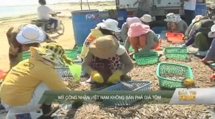 Mỹ công nhận Việt Nam không bán phá giá tôm