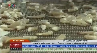 [Video] Kết quả sơ bộ POR9 Mức thuế chống bán phá giá tôm giảm mạnh