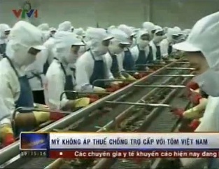 ITC Hoa Kỳ phủ quyết quyết định cuối cùng vụ kiện chống trợ cấp tôm nước ấm của DOC