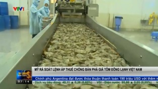 [Video] Mỹ rà soát lệnh áp thuế chống bán phá giá tôm đông lạnh Việt Nam