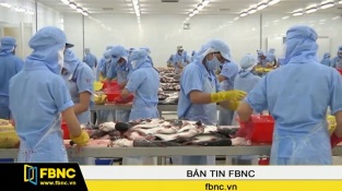 [Video] Nafiqad tiếp tục yêu cầu Mỹ công nhận các nhà máy sản xuất cá tra