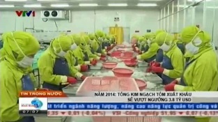[Video] Năm 2014 Tổng kim ngạch tôm xuất khẩu sẽ vượt ngưỡng 3,8 tỷ USD