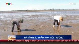 [Video] Ngư dân Hà Tĩnh khốn đốn sau thảm họa môi trường do Formosa