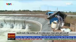 [Video] Người nuôi tôm hưởng lợi từ chính sách thuế CBPG mới của Mỹ