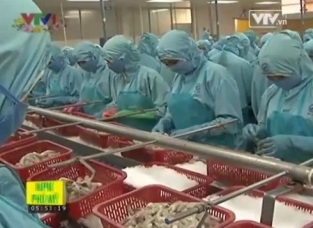 Nhật Bản chính thức hủy bỏ chế độ kiểm tra Ethoxyquin