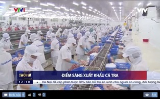 [Video] Nhiều điểm sáng xuất khẩu cá tra