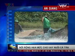 Nới rộng hạn mức cho vay nuôi cá tra