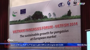 [Video] Phát triển bền vững cá tra tại thị trường Châu Âu
