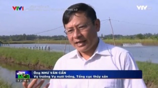 [Video] Phát triển công nghiệp tôm