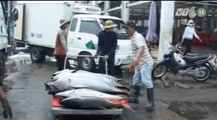 Quy định Tạm ngừng xuất khẩu có dấu hiệu sai luật