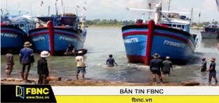 [Video] Quảng Ngãi Gần 2600 tỷ đồng phát triển thủy sản