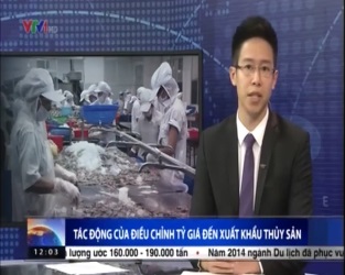 [Video] Tác động của điều chỉnh tỷ giá đến xuất khẩu thủy sản