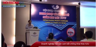 Doanh nghiệp hải sản cam kết chống khai thác IUU