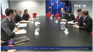 [Video] Việt Nam quyết tâm phát triển thủy sản bền vững 