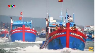 [Video] Phát triển thủy sản bền vững