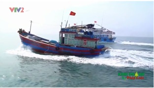 [Video] Doanh nghiệp thủy sản vượt qua rào cản kỹ thuật trong sản xuất