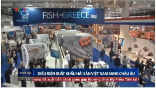 [Video] Điều kiện xuất khẩu hải sản Việt Nam sang châu Âu
