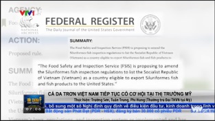 [Video] Cá da trơn Việt Nam tiếp tục có cơ hội tại thị trường Mỹ