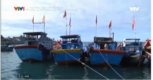 [Video] Nhìn lại một năm khắc phục thẻ vàng