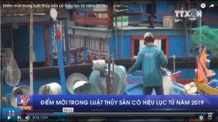 Điểm mới trong luật thủy sản có hiệu lực từ năm 2019