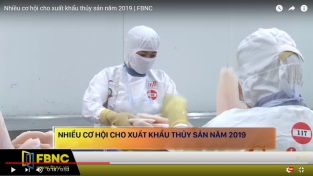 [Video] Nhiều cơ hội cho xuất khẩu thủy sản năm 2019