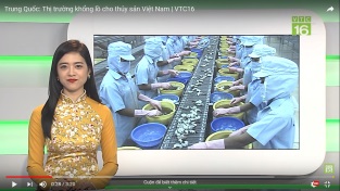 [Video] Trung Quốc Thị trường khổng lồ cho thủy sản Việt Nam