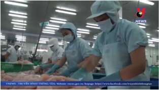 [Video] Xây dựng thương hiệu cho cá tra Việt Nam