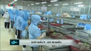 [Video] Ngành thủy sản giải quyết khó khăn bằng chất lượng sản phẩm