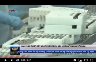 [Video] Làm thế nào để thúc đẩy xuất khẩu thủy sản những tháng cuối năm