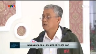 [Video] Liên kết nhằm hoàn thiện chuỗi sản xuất cá tra