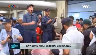 [Video] Triển khai Dự án cải thiện nghề cá đối với nghề câu cá ngừ đại dương