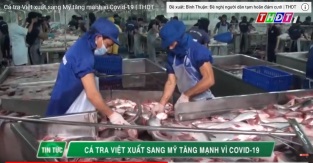 [Video] Cá tra Việt xuất sang Mỹ tăng mạnh vì Covid-19