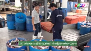 [Video] Xuất khẩu thủy sản sẽ tiếp tục đối mặt với nhiều khó khăn do Covid-19