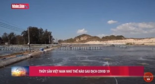[Video] Thủy sản Việt Nam như thế nào sau dịch Covid-19