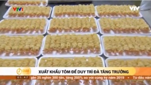 [Video] Ngành thủy sản nỗ lực duy trì đà tăng trưởng